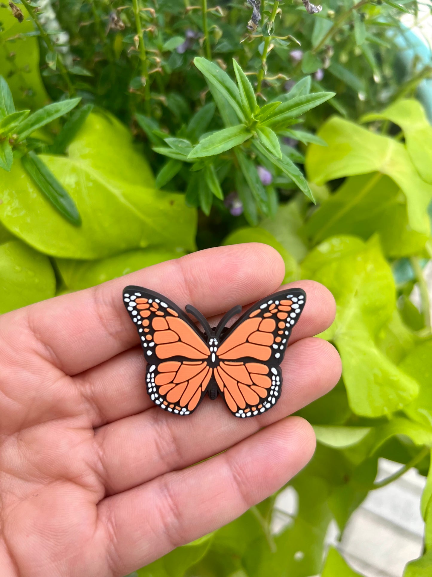ORANGE BUTTERFLY