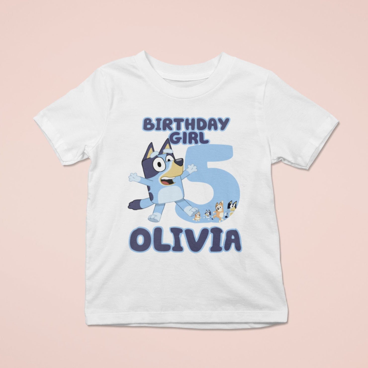 Custom Birthday Shirt, Bluey and Bingo Shirt, Bluey Birthday Tee